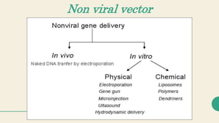 Non viral vector
 