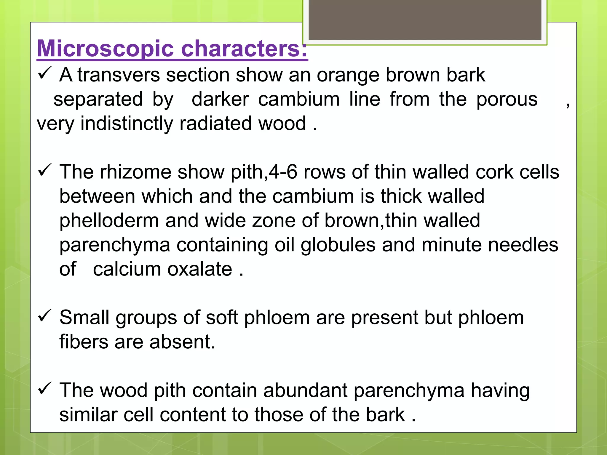 Microscopic characters:
 A transvers section show an orange brown bark
separated by darker cambium line from the porous ,
very indistinctly radiated wood .
 The rhizome show pith,4-6 rows of thin walled cork cells
between which and the cambium is thick walled
phelloderm and wide zone of brown,thin walled
parenchyma containing oil globules and minute needles
of calcium oxalate .
 Small groups of soft phloem are present but phloem
fibers are absent.
 The wood pith contain abundant parenchyma having
similar cell content to those of the bark .
 