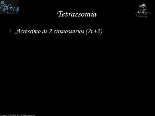 Tetrassomia  Acréscimo de 2 cromossomos (2n+2)  Grupo Aliança de Enfermagem Grupo Aliança de Enfermagem 
