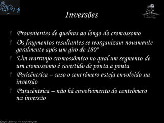 Inversões  Provenientes de quebras ao longo do cromossomo Os fragmentos resultantes se reorganizam novamente geralmente após um giro de 180º Um rearranjo cromossômico no qual um segmento de um cromossomo é revertido de ponta a ponta Pericêntrica – caso o centrômero esteja envolvido na inversão Paracêntrica – não há envolvimento do centrômero na inversão Grupo Aliança de Enfermagem 