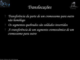 Translocações  Transferência da parte de um cromossomo para outro não homólogo Os segmentos quebrados são soldados invertidos A transferência de um segmento cromossômico de um cromossomo para outro  Grupo Aliança de Enfermagem 