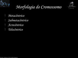 Morfologia do Cromossomo  Metacêntrico Submetacêntrico Acrocêntrico Telocêntrico  Grupo Aliança de Enfermagem 