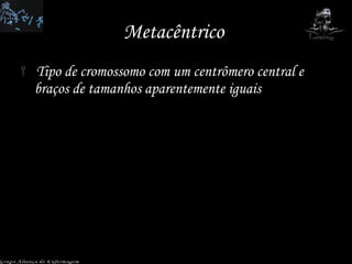 Metacêntrico  Tipo de cromossomo com um centrômero central e braços de tamanhos aparentemente iguais Grupo Aliança de Enfermagem 