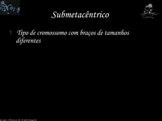Submetacêntrico  Tipo de cromossomo com braços de tamanhos diferentes Grupo Aliança de Enfermagem 