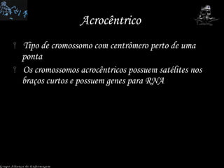 Acrocêntrico  Tipo de cromossomo com centrômero perto de uma ponta Os cromossomos acrocêntricos possuem satélites nos braços curtos e possuem genes para RNA Grupo Aliança de Enfermagem 