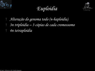 Euploidia  Alteração do genoma todo (n-haploidia) 3n triploidia – 3 cópias de cada cromossomo 4n tetraploidia  Grupo Aliança de Enfermagem 