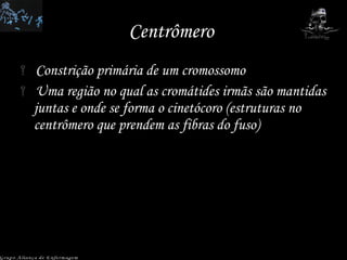 Centrômero  Constrição primária de um cromossomo Uma região no qual as cromátides irmãs são mantidas juntas e onde se forma o cinetócoro (estruturas no centrômero que prendem as fibras do fuso) Grupo Aliança de Enfermagem 