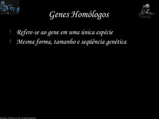 Genes Homólogos  Refere-se ao gene em uma única espécie Mesma forma, tamanho e seqüência genética Grupo Aliança de Enfermagem 