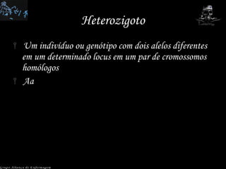 Heterozigoto Um indivíduo ou genótipo com dois alelos diferentes em um determinado locus em um par de cromossomos homólogos Aa Grupo Aliança de Enfermagem 