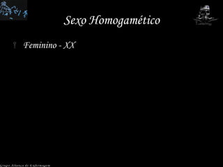 Sexo Homogamético Feminino - XX  Grupo Aliança de Enfermagem 