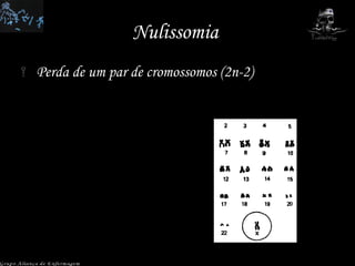 Nulissomia  Perda de um par de cromossomos (2n-2) Grupo Aliança de Enfermagem 