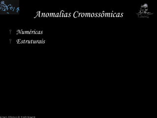 Anomalias Cromossômicas Numéricas  Estruturais Grupo Aliança de Enfermagem 