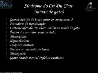 Síndrome do Cri Du Chat  (miado de gato) Grande deleção do braço curto do cromossomo 5 Portadores de translocação Lactente afetado têm choro similar ao miado de gato Órgãos dos sentidos comprometidos Microcefalia Hipertelorismo Pregas epicânticas Orelhas de implantação baixa Micrognatia Grave retardo mental Defeitos cardíacos Grupo Aliança de Enfermagem 