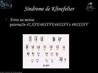 Síndrome de Klinefelter Erros na meiose paterna2n-47,XXY;48XXYY;48XXXY e 49XXXXY Grupo Aliança de Enfermagem 