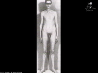 Grupo Aliança de Enfermagem 