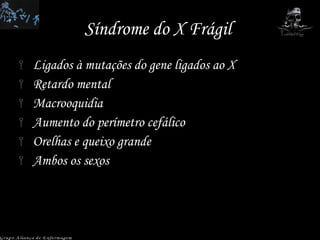 Síndrome do X Frágil  Ligados à mutações do gene ligados ao X Retardo mental Macrooquidia Aumento do perímetro cefálico Orelhas e queixo grande Ambos os sexos Grupo Aliança de Enfermagem 