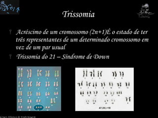 Trissomia  Acréscimo de um cromossomo (2n+1)É o estado de ter três representantes de um determinado cromossomo em vez de um par usual Trissomia do 21 – Síndrome de Down Grupo Aliança de Enfermagem 