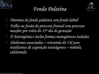 Fenda Palatina Distinta da fenda palatina sem fenda labial Falha na fusão do processo frontal com processo maxilar por volta do 35º dia de gestação É heterogênia e inclui formas monogênicas isoladas Síndromes associadas – trissomia do 13Casos resultantes de exposição teratógenos – rubéola, talidomida Grupo Aliança de Enfermagem 