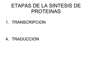 ETAPAS DE LA SINTESIS DE PROTEINAS TRANSCRIPCION TRADUCCION 