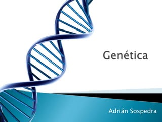 Genética Adrián Sospedra 