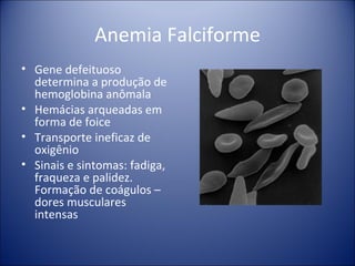 Anemia Falciforme Gene defeituoso determina a produção de hemoglobina anômala Hemácias arqueadas em forma de foice Transporte ineficaz de oxigênio Sinais e sintomas: fadiga, fraqueza e palidez. Formação de coágulos – dores musculares intensas 