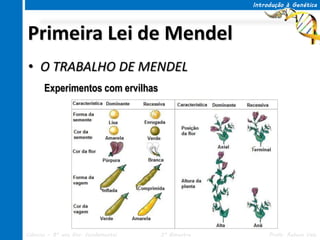 Introdução à Genética




Primeira Lei de Mendel
• O TRABALHO DE MENDEL
      Experimentos com ervilhas




Ciências – 8º ano Ens. Fundamental   3º Bimestre        Profa. Rebeca Vale
 