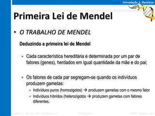 Introdução à Genética




Primeira Lei de Mendel
• O TRABALHO DE MENDEL
     Deduzindo a primeira lei de Mendel

         Cada característica hereditária é determinada por um par de
          fatores (genes), herdados em igual quantidade da mãe e do pai;

         Os fatores de cada par segregam-se quando os indivíduos
          produzem gametas:
             Indivíduos puros (homozigotos)  produzem gametas com o mesmo fator
             Indivíduos híbridos (heterozigotos  produzem gametas com fatores
              diferentes.

Ciências – 8º ano Ens. Fundamental     3º Bimestre                    Profa. Rebeca Vale
 