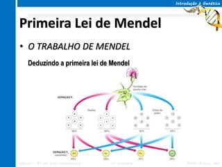 Introdução à Genética




Primeira Lei de Mendel
• O TRABALHO DE MENDEL
     Deduzindo a primeira lei de Mendel




Ciências – 8º ano Ens. Fundamental   3º Bimestre        Profa. Rebeca Vale
 