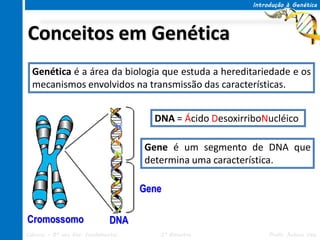 Introdução à Genética




Conceitos em Genética
  Genética é a área da biologia que estuda a hereditariedade e os
  mecanismos envolvidos na transmissão das características.


                                       DNA = Ácido DesoxirriboNucléico

                                     Gene é um segmento de DNA que
                                     determina uma característica.

                                     Gene

Cromossomo                     DNA
Ciências – 8º ano Ens. Fundamental      3º Bimestre              Profa. Rebeca Vale
 