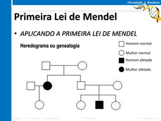 Introdução à Genética




Primeira Lei de Mendel
• APLICANDO A PRIMEIRA LEI DE MENDEL
                                                   Homem normal
     Heredograma ou genealogia
                                                   Mulher normal
                                                   Homem afetado

                                                   Mulher afetada




Ciências – 8º ano Ens. Fundamental   3º Bimestre        Profa. Rebeca Vale
 