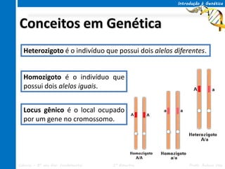 Introdução à Genética




Conceitos em Genética
  Heterozigoto é o indivíduo que possui dois alelos diferentes.


  Homozigoto é o indivíduo que
  possui dois alelos iguais.


  Locus gênico é o local ocupado
  por um gene no cromossomo.




Ciências – 8º ano Ens. Fundamental   3º Bimestre          Profa. Rebeca Vale
 