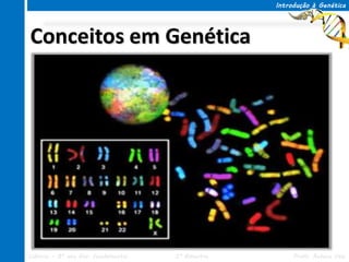 Introdução à Genética




Conceitos em Genética




Ciências – 8º ano Ens. Fundamental   3º Bimestre        Profa. Rebeca Vale
 