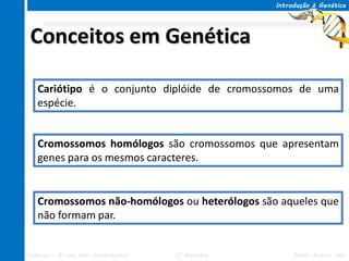 Introdução à Genética




Conceitos em Genética

   Cariótipo é o conjunto diplóide de cromossomos de uma
   espécie.


   Cromossomos homólogos são cromossomos que apresentam
   genes para os mesmos caracteres.


   Cromossomos não-homólogos ou heterólogos são aqueles que
   não formam par.


Ciências – 8º ano Ens. Fundamental   3º Bimestre        Profa. Rebeca Vale
 