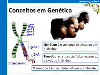 Introdução à Genética




Conceitos em Genética
                         gene 1
                        gene 2
                       gene 3
                       gene 4
                      gene 5


                                     Genótipo é o conjunto de genes de um
                          gene 6     indivíduo.
                              DNA
                                     Fenótipo é a característica expressa,
                                     visível, do indivíduo.
Cromossomo
                             O genótipo é influenciado pelo meio ambiente.
Ciências – 8º ano Ens. Fundamental       3º Bimestre              Profa. Rebeca Vale
 