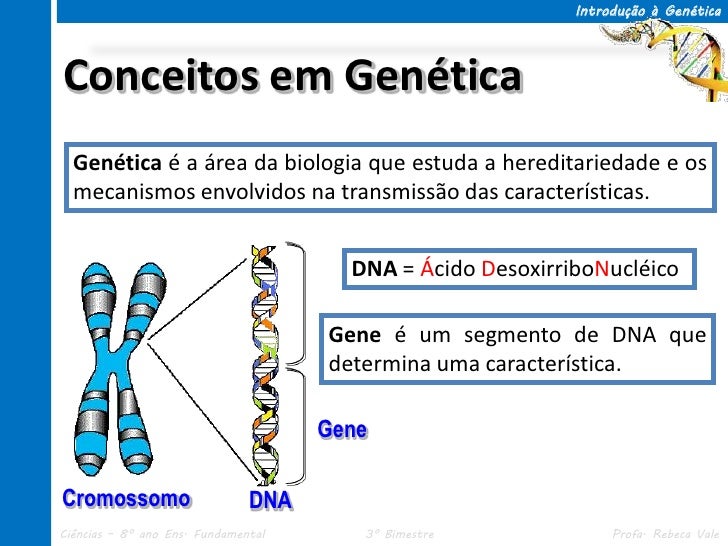 Aa biologia genetica