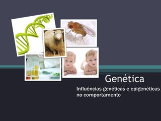 Genética Influências genéticas e epigenéticas no comportamento 