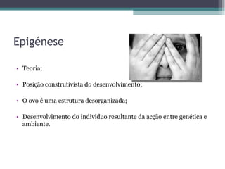 Epigénese Teoria; Posição construtivista do desenvolvimento; O ovo é uma estrutura desorganizada; Desenvolvimento do individuo resultante da acção entre genética e ambiente.  