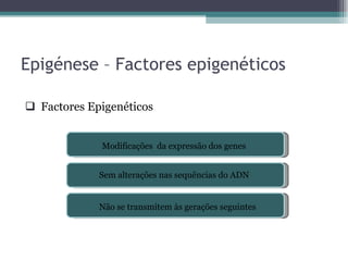 Epigénese – Factores epigenéticos Factores Epigenéticos Modificações  da expressão dos genes Sem alterações nas sequências do ADN Não se transmitem às gerações seguintes 