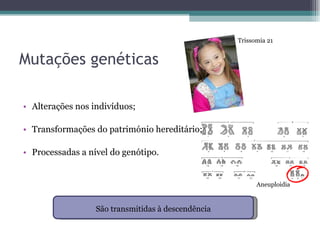Mutações genéticas Alterações nos indivíduos; Transformações do património hereditário; Processadas a nível do genótipo. São transmitidas à descendência Trissomia 21 Aneuploidia 