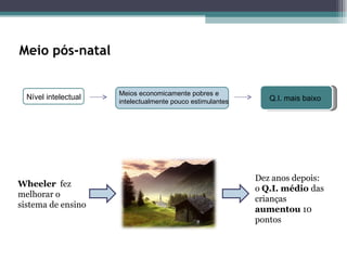 Meio pós-natal Nível intelectual Q.I. mais baixo Wheeler   fez melhorar o sistema de ensino Dez anos depois: o  Q.I. médio  das crianças  aumentou  10 pontos  Meios economicamente pobres e intelectualmente pouco estimulantes 