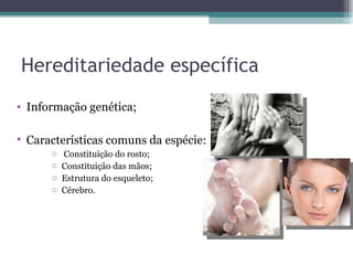 Hereditariedade específica Informação genética; Características comuns da espécie: Constituição do rosto; Constituição das mãos; Estrutura do esqueleto; Cérebro. 