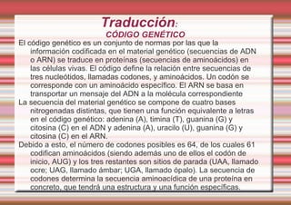 ARN ribosómico El ARN ribosómico es el más abundante (80 por ciento del total del ARN), se encuentra en los ribosomas y forma parte de ellos, aunque también existen proteínas ribosómicas. El ARN ribosómico recién sintetizado es empaquetado inmediatamente con proteínas ribosómicas, dando lugar a las subunidades del ribosoma. 