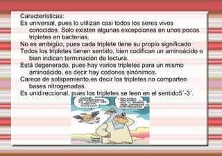 Está formado por una sola cadena de nucleótidos (aunque presenta regiones de doble hélice intracatenaria). 