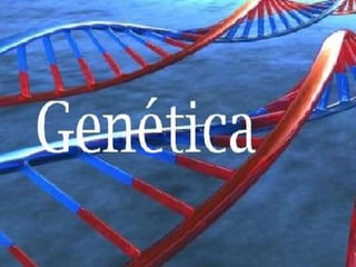 Biologia

           Genética




                      ChinA
 