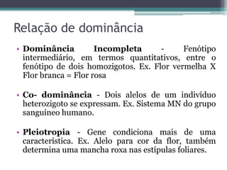 Relação de dominância
• Dominância          Incompleta      -     Fenótipo
  intermediário, em termos quantitativos, entre o
  fenótipo de dois homozigotos. Ex. Flor vermelha X
  Flor branca = Flor rosa

• Co- dominância - Dois alelos de um indivíduo
  heterozigoto se expressam. Ex. Sistema MN do grupo
  sanguíneo humano.

• Pleiotropia - Gene condiciona mais de uma
  característica. Ex. Alelo para cor da flor, também
  determina uma mancha roxa nas estípulas foliares.
 