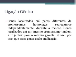 Ligação Gênica

• Genes localizados em pares diferentes de
  cromossomos         homólogos        segregam-se
  independentemente, durante a meiose. Genes
  localizados em um mesmo cromossomo tendem
  a ir juntos para o mesmo gameta; diz-se, por
  isso, que esses genes estão em ligação.
 