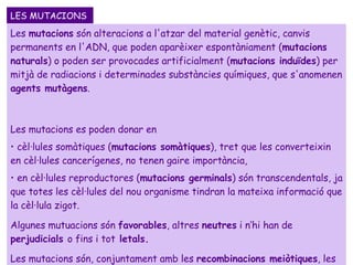 LES MUTACIONS  Les  mutacions  són alteracions a l'atzar del material genètic, canvis permanents en l'ADN, que poden aparèixer espontàniament ( mutacions naturals ) o poden ser provocades artificialment ( mutacions induïdes ) per mitjà de radiacions i determinades substàncies químiques, que s'anomenen  agents mutàgens .  Les mutacions es poden donar en  cèl·lules somàtiques ( mutacions somàtiques ), tret que les converteixin en cèl·lules cancerígenes, no tenen gaire importància,   en cèl·lules reproductores ( mutacions germinals ) són transcendentals, ja que totes les cèl·lules del nou organisme tindran la mateixa informació que la cèl·lula zigot. Algunes mutuacions són  favorables , altres  neutres  i n’hi han de  perjudicials  o fins i tot  letals.  Les mutacions són, conjuntament amb les  recombinacions meiòtiques , les principals  causes de variabilitat genètica , i conseqüentment de l'evolució de les espècies . 
