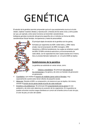 GENÉTICA
El estudio de la genética permite comprender qué es lo que exactamente ocurre en el ciclo
celular, (replicar nuestras células y reproducción, (meiosis) de los seres vivos y cómo puede
                            células)
ser que, por ejemplo, entre seres humanos se transmiten características
biológicas genotipo (contenido del genoma específico de un individuo en forma de ADN),
características físicas fenotipo de apariencia y hasta de personalidad.
                        fenotipo,

                           El principal objeto de estudio de la genética son los genes,

                           formados por segmentos de ADN doble hebra, y ARN hebra
                                                                             ARN:
                           simple,
                           simple tras la transcripción de ARN mensajero, ARN
                           ribosómico y ARN de transferencia, los cuales se sintetizan a partir
                                                             ,
                           de ADN. El ADN controla la estructura y el funcionamiento de
                             e
                           cada célula, con la capacidad de crear copias exactas de sí mismo,
                                       ,
                           tras un proceso llamado replicación, en el cual el ADN se replica.



                           Subdivisiones de la genética
                           La genética se subdivide en varias ramas, como:

                                   Clásica o mendeliana: Se preocupa del estudio de
                           los cromosomas y los genes y de cómo se heredan de generación
                           en generación.
    Cuantitativa, que analiza el impacto de múltiples genes sobre el fenotipo, muy
                ,                                                            ,
    especialmente cuando estos tienen efectos de pequeña escala.
    Molecular: Estudia el ADN, su composición y la manera en que se duplica. Así mismo,
                          ADN,
    estudia la función de los genes desde el punto de vista molecular
                                                            molecular.
    Evolutiva y de poblaciones Se preocupa del comportamiento de los genes en una
                    poblaciones:
    población y de cómo esto determina la evolución de los organismos. En la genética se
                          o
    pueden encontrar muchos rasgos familiares en común de la familia como el color de ojos,
    el color de piel y el color del cabello.




                                                                                                1
 