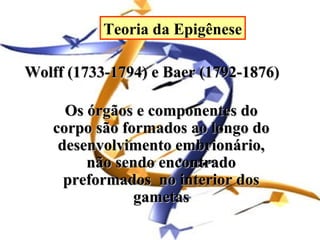 Teoria da Epigênese

Wolff (1733-1794) e Baer (1792-1876)

      Os órgãos e componentes do
    corpo são formados ao longo do
     desenvolvimento embrionário,
         não sendo encontrado
      preformados no interior dos
                gametas
 