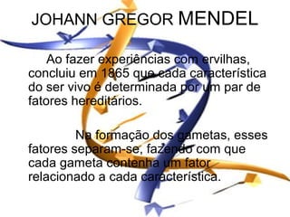 JOHANN GREGOR MENDEL

    Ao fazer experiências com ervilhas,
concluiu em 1865 que cada característica
do ser vivo é determinada por um par de
fatores hereditários.

         Na formação dos gametas, esses
fatores separam-se, fazendo com que
cada gameta contenha um fator
relacionado a cada característica.
 